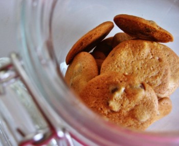 Leckere Vanille-Heidesand-Kekse fast ohne Kohlenhydrate